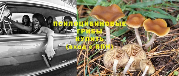 ALPHA-PVP Медногорск