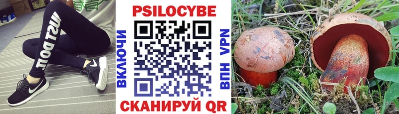 Галлюциногенные грибы мухоморы  Купить закладки  Кубинка 